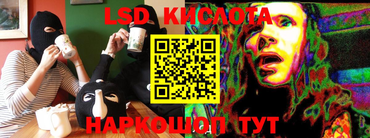 Губкин  Марки NBOMe 1,5мг  Наркотические марки  Вход с VPN 